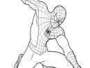 167 Dessins De Coloriage Spiderman À Imprimer Sur avec Coloriage À Imprimer Spiderman
