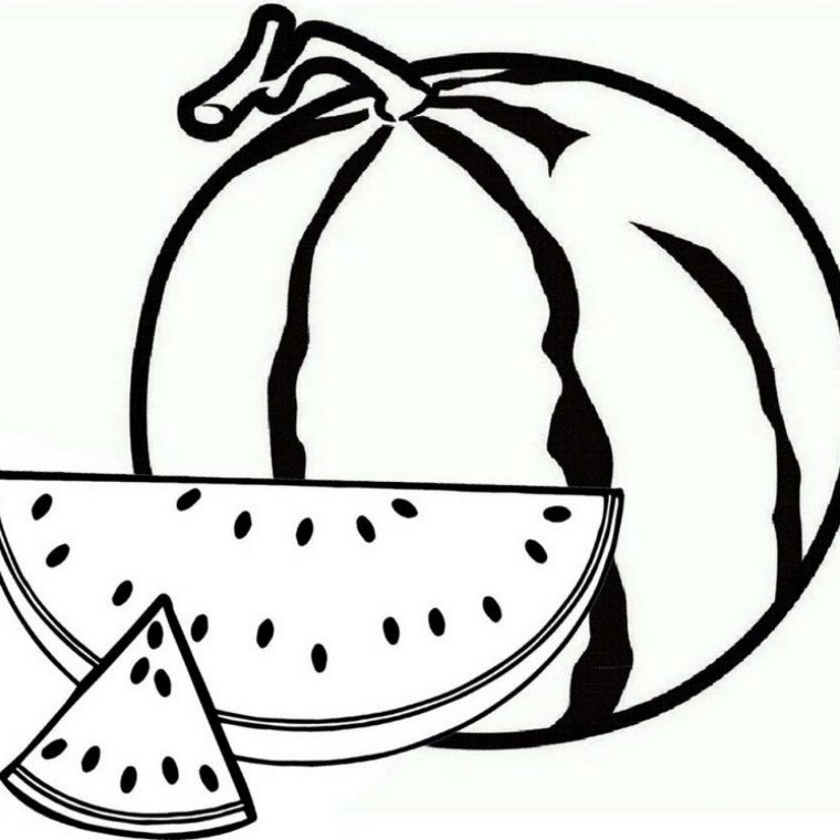 watermellon coloring page watermellon coloring page