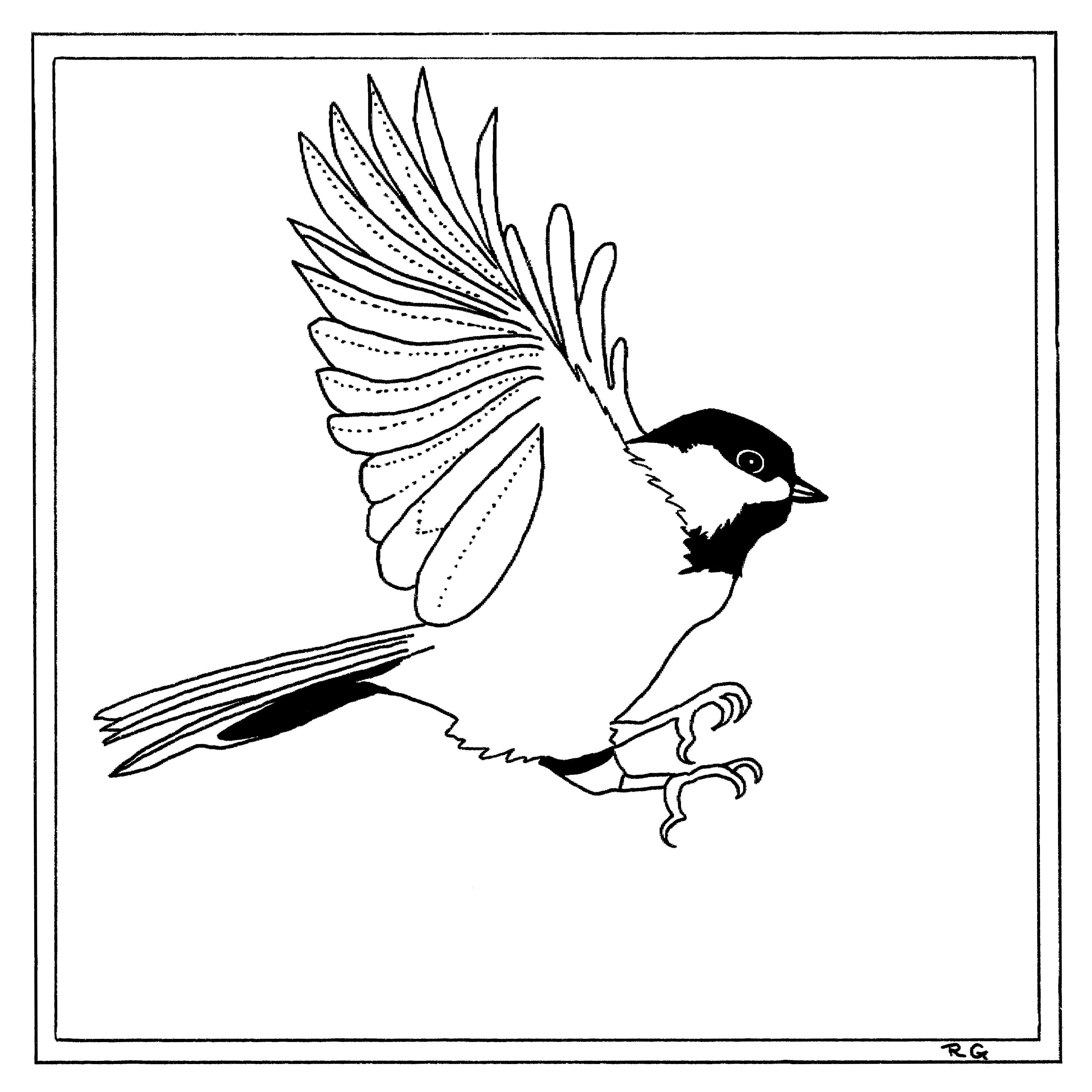 Our printable sheets for coloring in are ideal to brighten your family’s day. Black Capped Chickadee Coloring Page Sketch Coloring Page