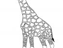 Coloriage À Imprimer Girafe-6 à Coloriage Gratuit À Imprimer