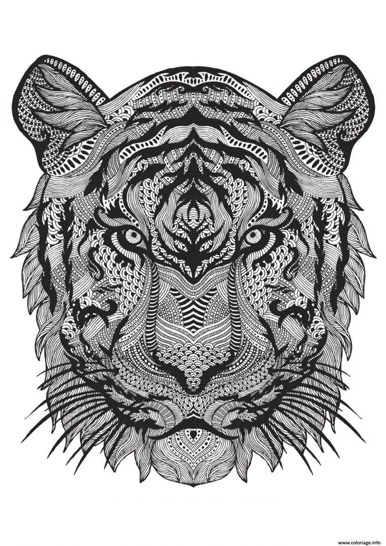 Coloriage Adulte Animal Tigre Difficile Antistress Dessin destiné Coloriage A Imprimer Adulte