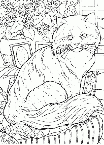 Coloriage Chat Adulte À Imprimer concernant Coloriage Adulte À Imprimer Gratuit