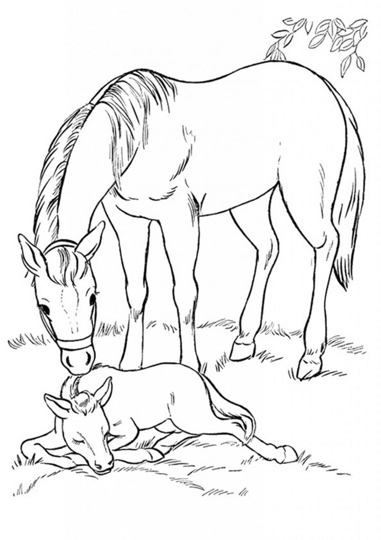 Coloriage De Cheval À Imprimer Gratuitement | Moncoloriage.fr tout Imprimer Un Coloriage