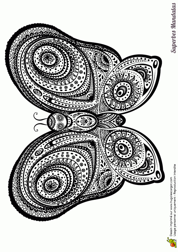 Coloriage D'Un Superbe Mandala De Papillon Géant pour Coloriage Géant À Imprimer
