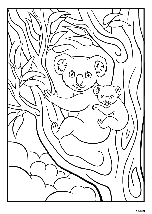 Coloriage, Un Koala Et Son Petit – Tidou.fr dedans Imprimer Un Coloriage