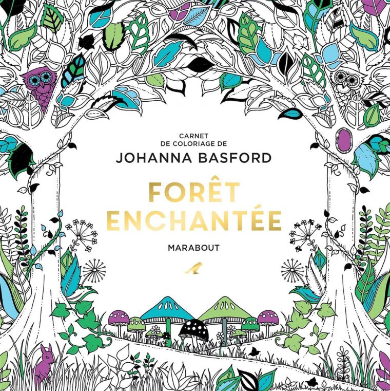 Livre Forêt Enchantée – Carnet De Coloriage De Johanna tout Carnet De Coloriage Marabout