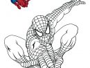 Meilleur Coloriage À Imprimer Spiderman Pics concernant Coloriage À Imprimer Spiderman