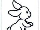 Petit Lapin 1 - Coloriages Animaux concernant Coloriage Lapin À Imprimer Gratuit