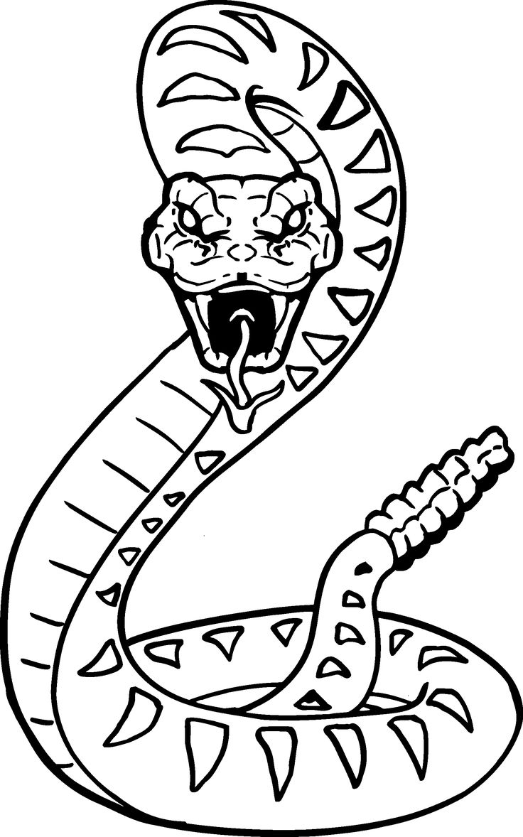 coloring pages of a snake