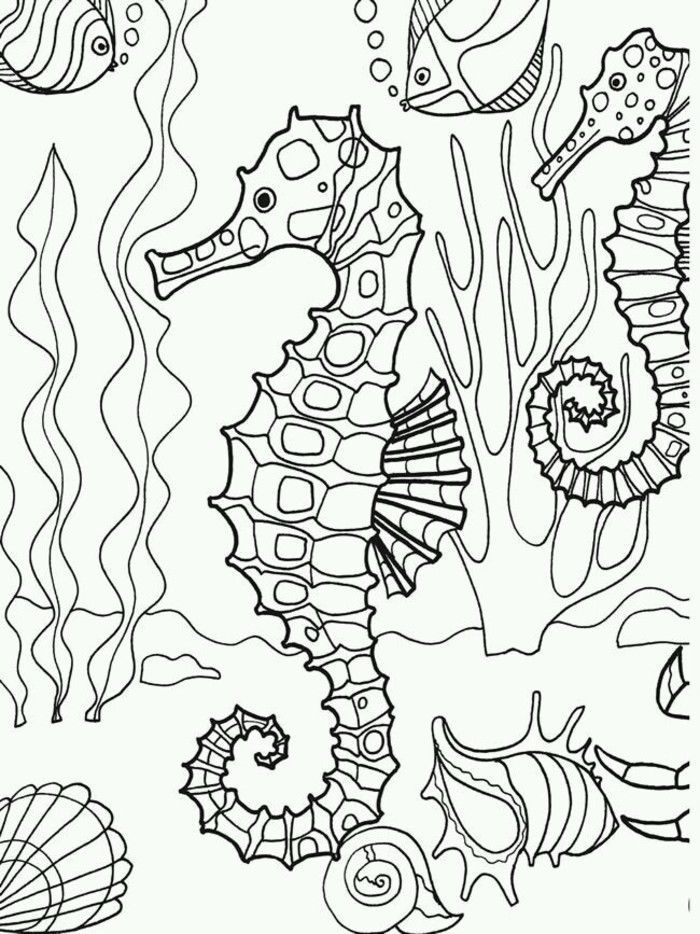 coloring pages seahorse coloring pages seahorse