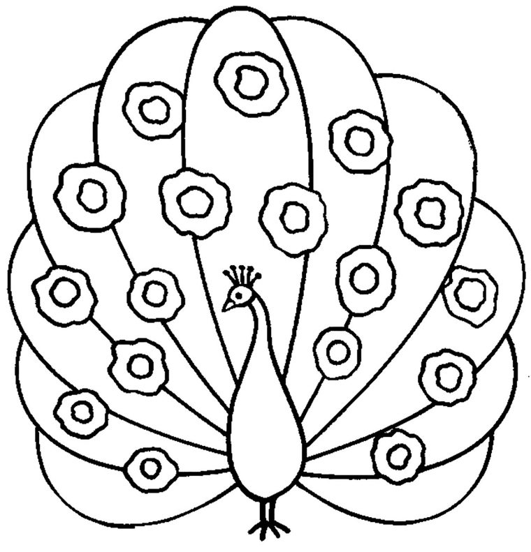 colored peacock coloring pages