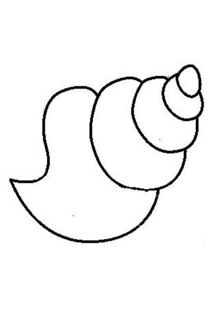 seashell printable coloring pages seashell printable coloring pages