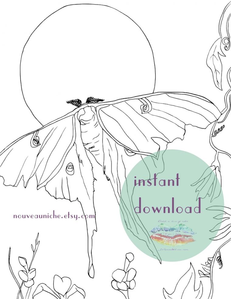luna moth coloring page
