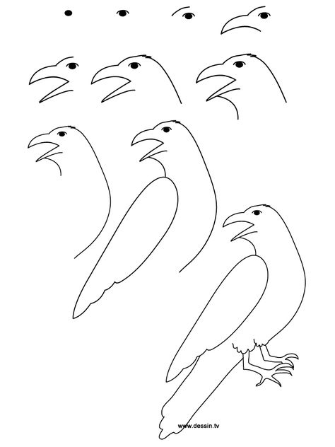 29 Idées De Dessins | Dessin, Mouton Dessin, Comment intérieur Comment Dessiner Un Corbeau 29 Idées De Dessins | Dessin, Mouton Dessin, Comment intérieur Comment Dessiner Un Corbeau