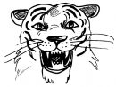 72 Dessins De Coloriage Tigre À Imprimer Sur Laguerche pour Comment Dessiner Un Tigre