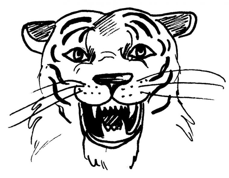 72 Dessins De Coloriage Tigre À Imprimer Sur Laguerche pour Comment Dessiner Un Tigre