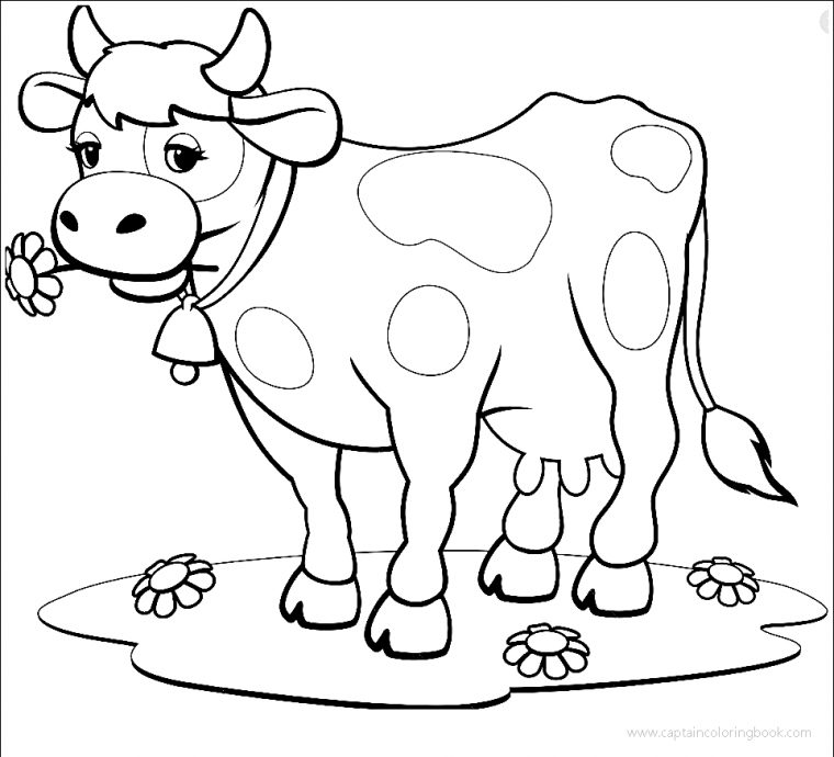 coloring pages cow