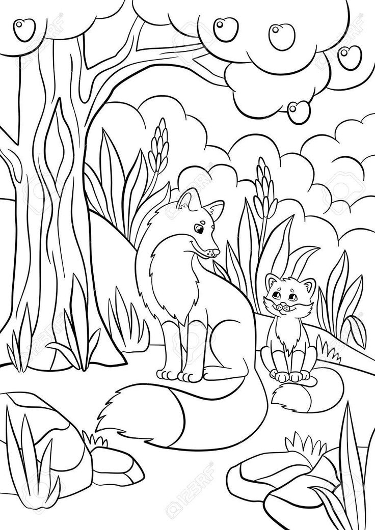 Coloriage. Animaux Sauvages. Mère Renard Avec Son Petit à Coloriage Bébé Renard Coloriage. Animaux Sauvages. Mère Renard Avec Son Petit à Coloriage Bébé Renard