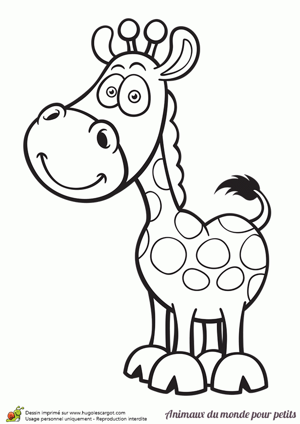 Coloriage D'Une Girafe avec Dessin Girafe Facile