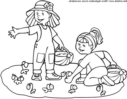 Coloriage Été Maternelle Élégant Photos Coloriage concernant Coloriage Été Maternelle