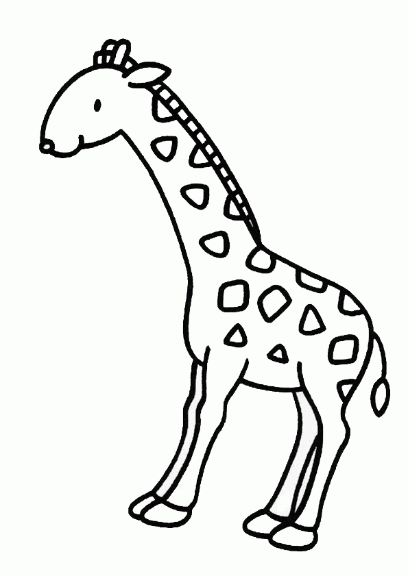 Coloriage Girafe 4 Sur Hugolescargot destiné Dessin Girafe Facile