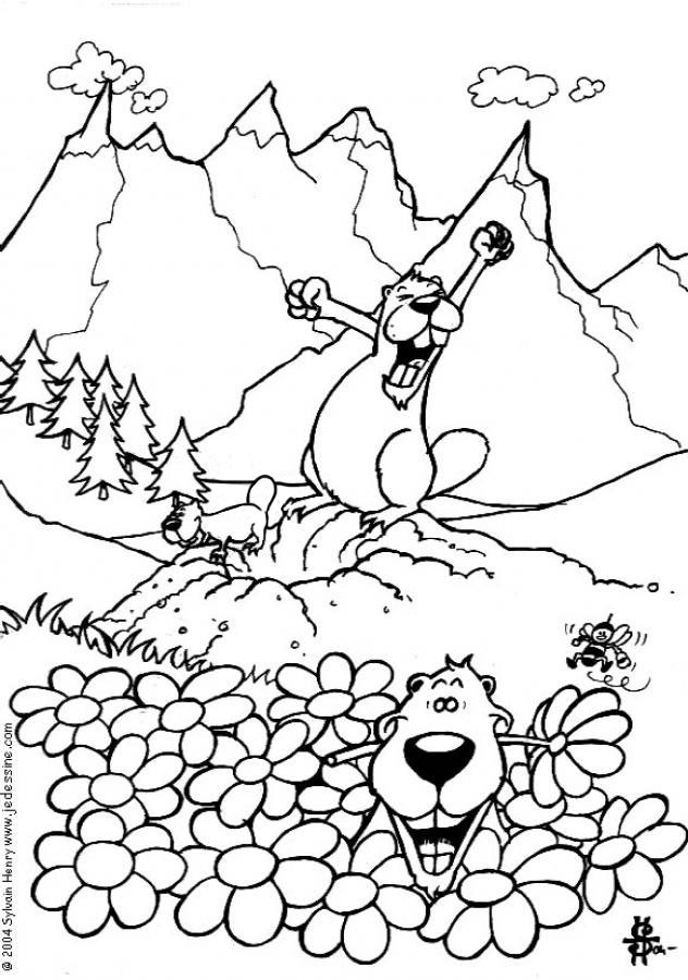 Coloriage Marmotte Gratuit À Imprimer encequiconcerne Coloriage Cactus À Imprimer
