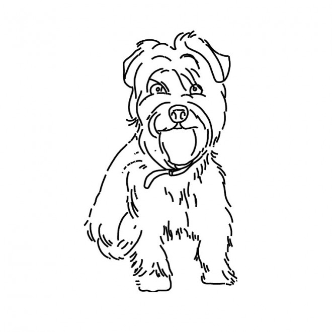Coloriage Petit Chien Domestique Dessin Gratuit À Imprimer dedans Coloriage De Chien Trop Mignon A Imprimer