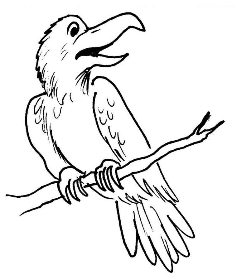 Coloriages Corbeau (Animaux) – Album De Coloriages concernant Comment Dessiner Un Corbeau Coloriages Corbeau (Animaux) – Album De Coloriages concernant Comment Dessiner Un Corbeau