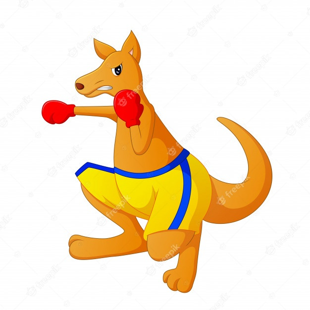 Dessin Animé Mignon Kangourou Est La Boxe | Vecteur Premium à Kangourou Dessin Facile Dessin Animé Mignon Kangourou Est La Boxe | Vecteur Premium à Kangourou Dessin Facile