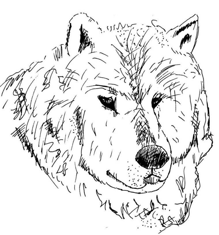 Dessin-Coloriage Animal : Tete De Loup – Education serapportantà Dessin Tete De Loup