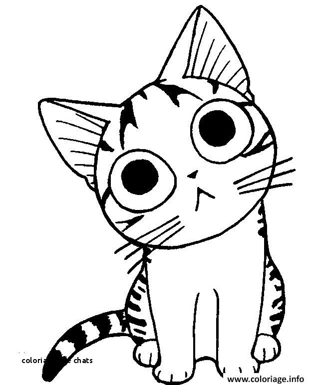 Dessin De Chat Manga – Les Dessins Et Coloriage concernant Tete De Chat Coloriage Dessin De Chat Manga – Les Dessins Et Coloriage concernant Tete De Chat Coloriage