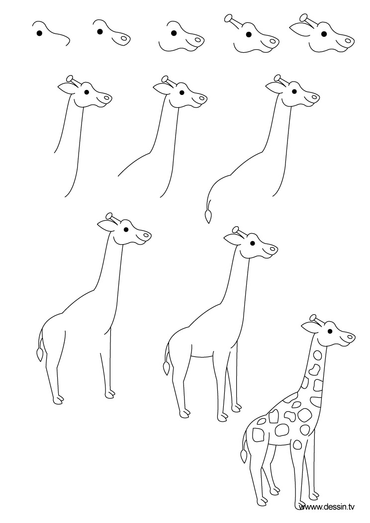 Dessin Girafe dedans Dessin Girafe Facile