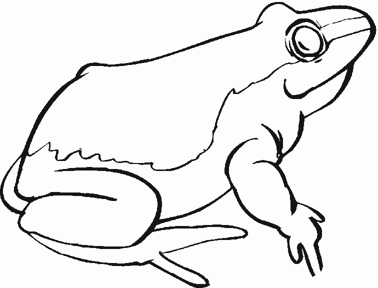 Dessins De Grenouille À Colorier encequiconcerne Grenouille Dessin Facile