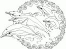 Dolphins Mandala - Dolphins In A Mandala Coloring Page To à Coloriage Mandala Dauphin