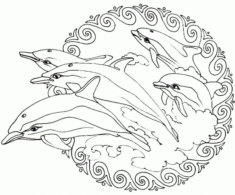 Dolphins Mandala – Dolphins In A Mandala Coloring Page To à Coloriage Mandala Dauphin