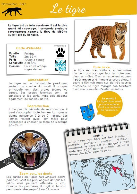 Épinglé Sur Lecture En Classe concernant Rallye-Lecture.fr Ma Classe Épinglé Sur Lecture En Classe concernant Rallye-Lecture.fr Ma Classe