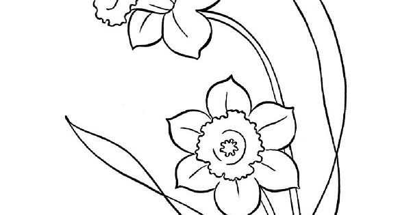 Fleur Jonquille Illustration, Dessin, Gravure, Dessin Au concernant Coloriage Jonquille
