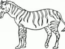 Free Printable Zebra Coloring Pages For Kids concernant Zebra Zum Ausmalen