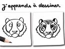 J'Apprends À Dessiner Un Tigre Avec Youpi - Youpi à Comment Dessiner Un Tigre