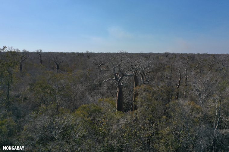 Madagascar_190399 concernant Masombahiny