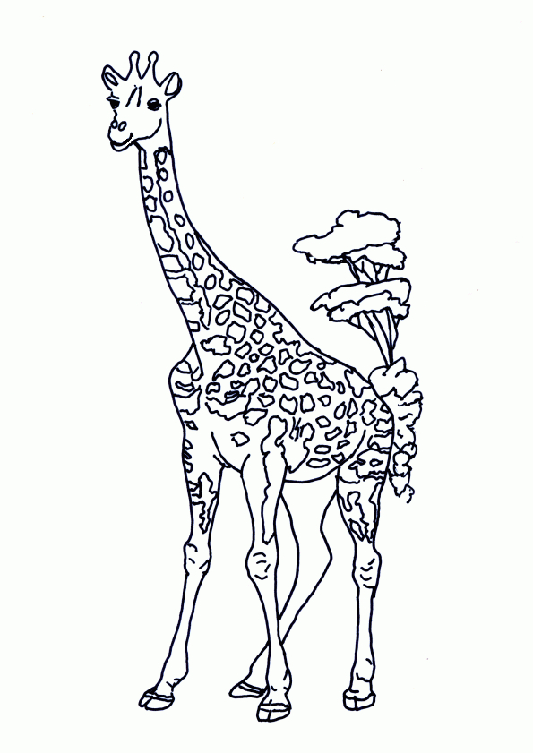 , Page 28 Sur 29 Sur Hugolescargot | Coloriage serapportantà Dessin Girafe Facile