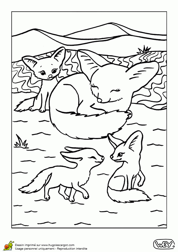 , Page 6 Sur 12 Sur Hugolescargot | Coloriage à Coloriage Bébé Renard