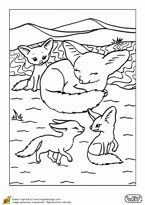 , Page 6 Sur 12 Sur Hugolescargot | Coloriage à Coloriage Bébé Renard , Page 6 Sur 12 Sur Hugolescargot | Coloriage à Coloriage Bébé Renard