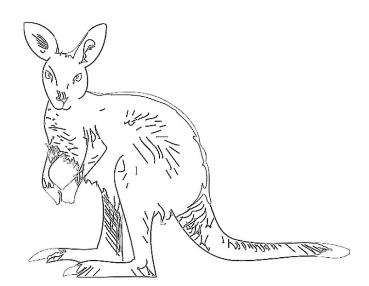 Sélection De Coloriage Kangourou À Imprimer Sur Laguerche intérieur Kangourou Dessin Facile Sélection De Coloriage Kangourou À Imprimer Sur Laguerche intérieur Kangourou Dessin Facile