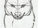 Tuto : Comment Dessiner Un Loup ? (2) concernant Loup Garou Dessin Facile