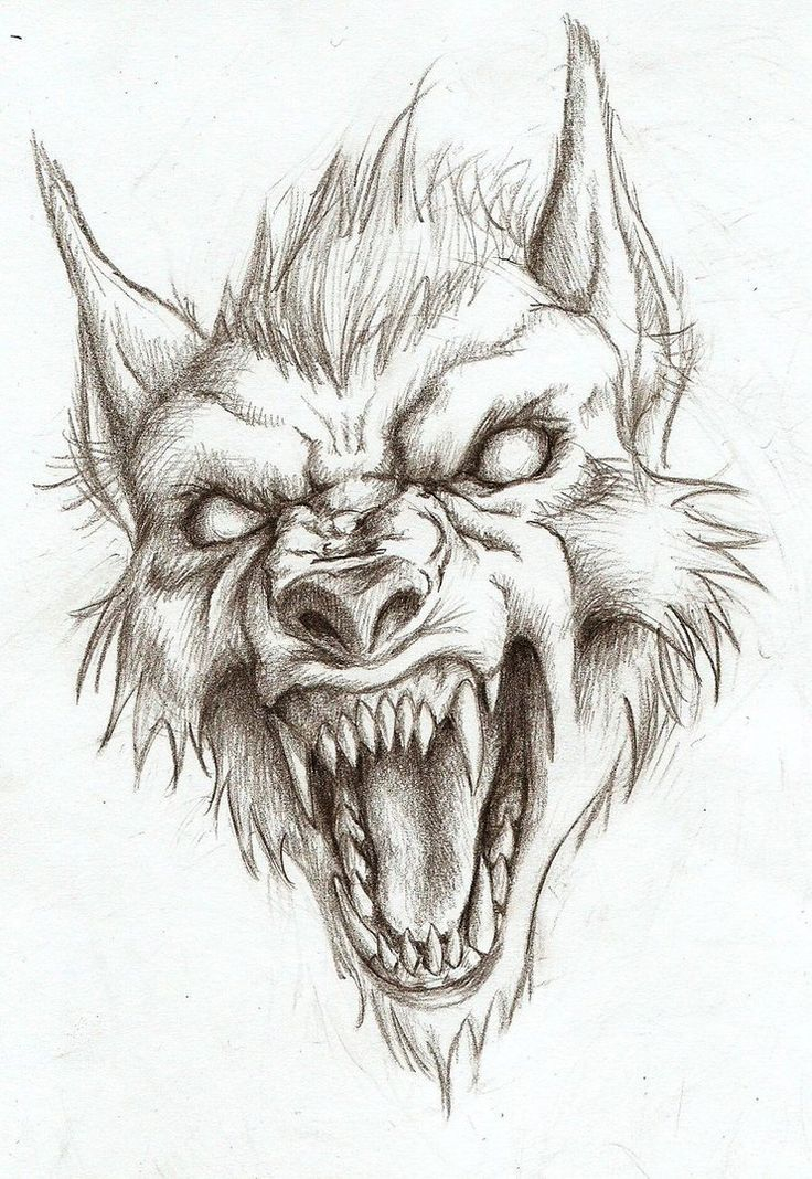 Werewolf Head Drawing (Not My Art!) – #Drawing #Werewolf encequiconcerne Dessin Tete De Loup