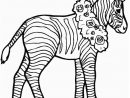 Zebra2 Animals Coloring Pages Coloring Page &amp; Book For Kids. dedans Zebra Zum Ausmalen