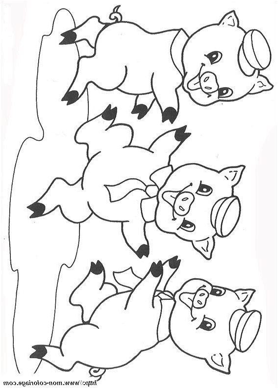 13 Moyen Coloriage Trois Petits Cochons Gallery pour Coloriage 3 Petit Cochon 13 Moyen Coloriage Trois Petits Cochons Gallery pour Coloriage 3 Petit Cochon