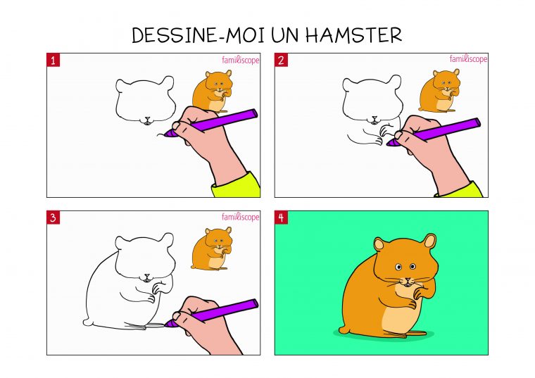 Apprendre À Dessiner Un Hamster En 3 Étapes destiné Apprendre À Dessiner Un Bonhomme