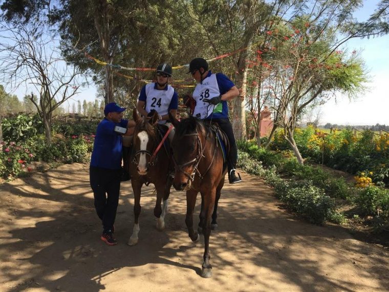 Arbeit Mit Pferden: Reiten Als Soziale Therapie In Peru tout Down Syndrom Sozialverhalten